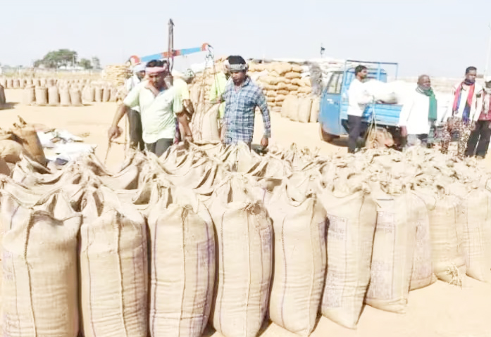 जिले में पहली बार खरीदा गया 8.30 अरब का धान, 96 फीसदी किसानों ने बेचा धान
