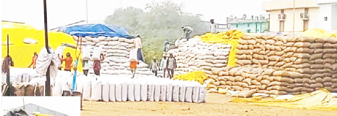 जिले में 8 फीसदी अधिक धान खरीदी, किसानों के खातों में आएंगे 98 करोड़ रुपए अधिक
