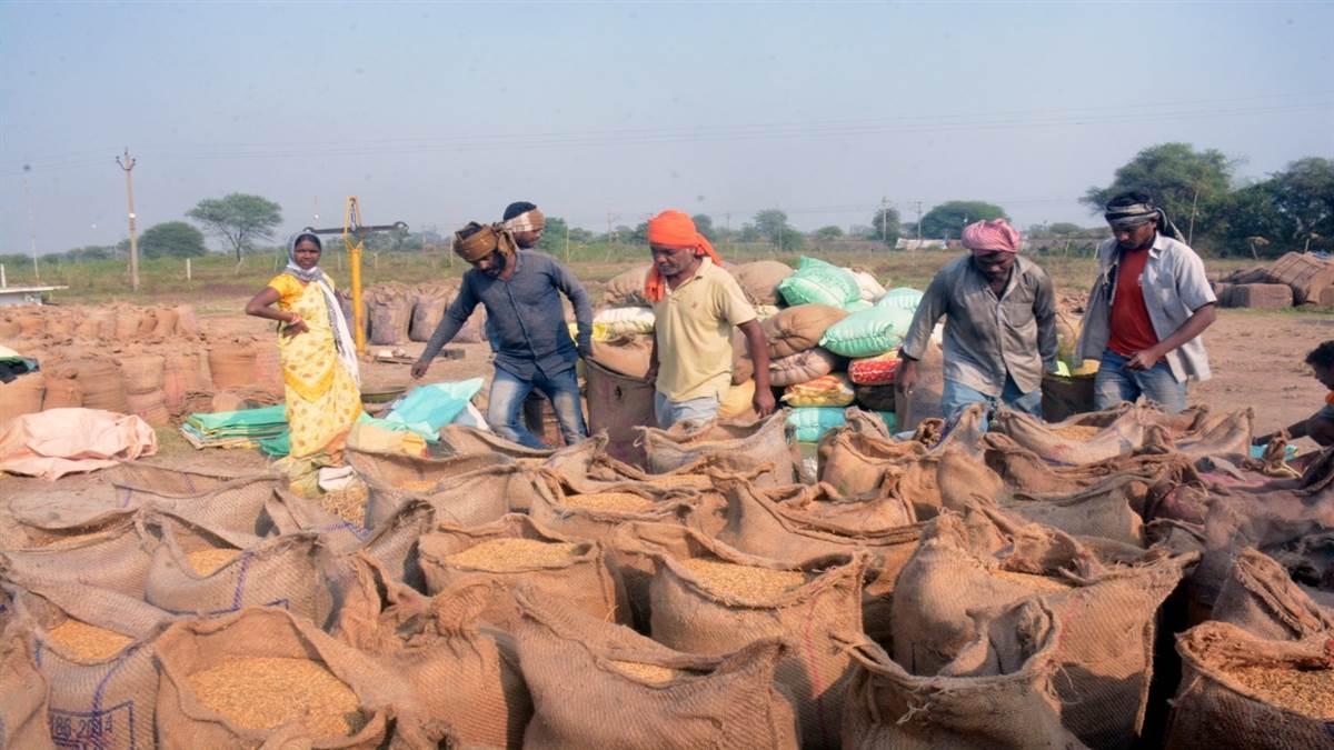 लक्ष्य से 2.73 लाख क्विंटल कम खरीदी, 3483 किसानों ने नहीं बेचा धान, धान बेचने एक दिन का समय