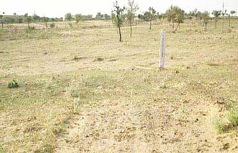 तमनार की तर्ज पर धरमजयगढ़ में भी सामने आ सकता है मुआवजा घोटाला?