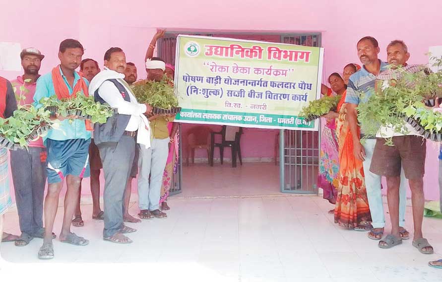 रतावा में फलदार पौधा वितरण