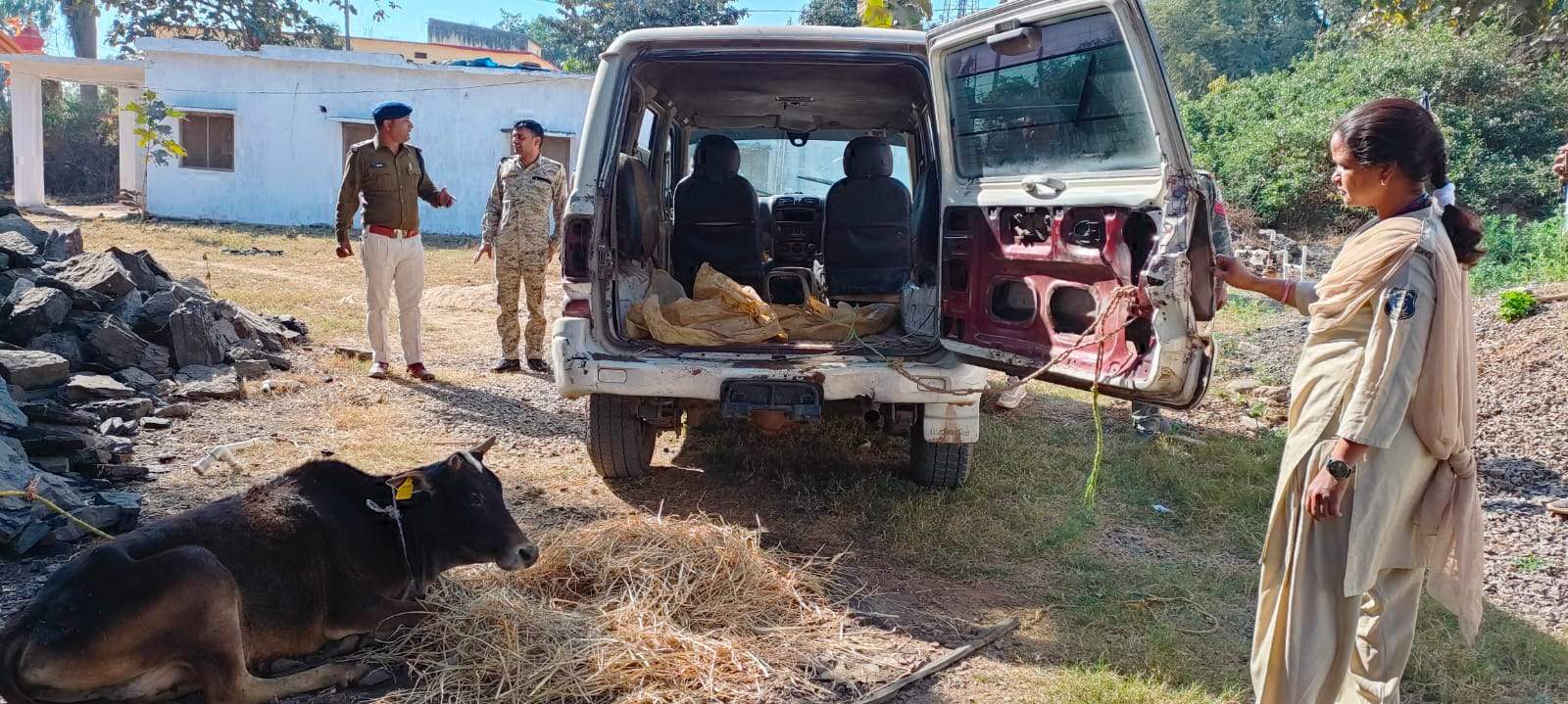 अवैध तरीके से बूचडख़ाना ले जाते 6 मवेशी बरामद
