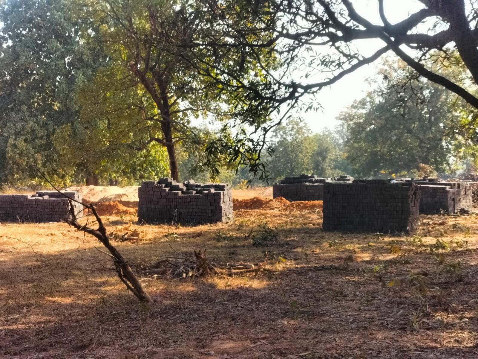 पंचायत की सरकारी जमीन पर बेजा कब्जा