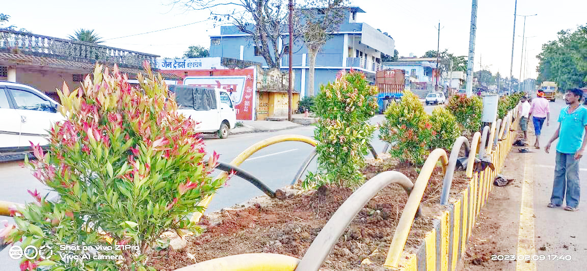  गौरवपथ में डिवाइडर पऱ लगाए पौधे, सुंदरता बढ़ी