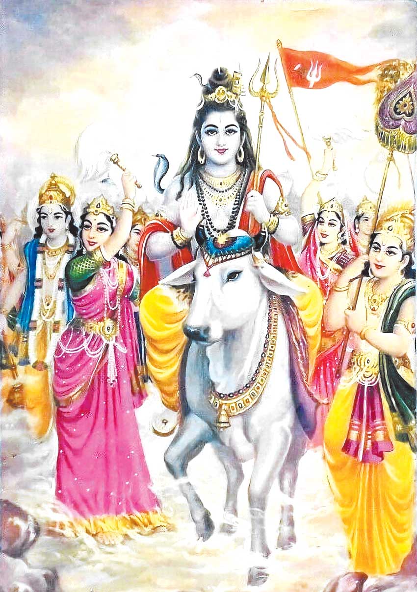 महाशिवरात्रि पर 108 जोड़े करेंगे जलाभिषेक, विशाल शिव बारात की तैयारी महाशिवरात्रि पर 108 जोड़े करेंगे जलाभिषेक, विशाल शिव बारात की तैयारी
