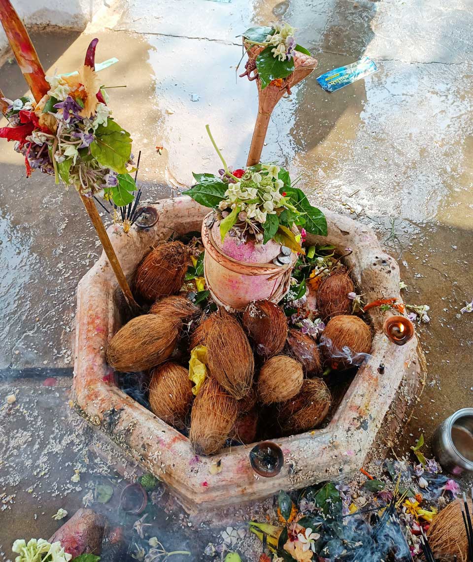 सात दिवसीय कोटसागर मेला शुरू