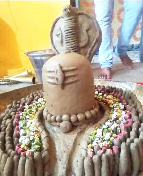 1008 पार्थिव शिवलिंग का होगा महा रुद्राभिषेक