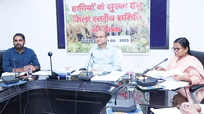 हाथियों की सुरक्षा के लिए कलेक्टर ने ली बैठक, दिए निर्देश