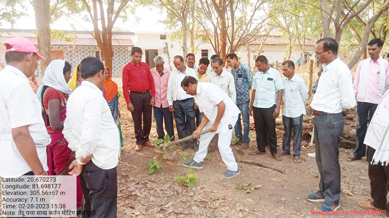 छूही में तेंदूपत्ता शाखकर्तन कार्यशाला