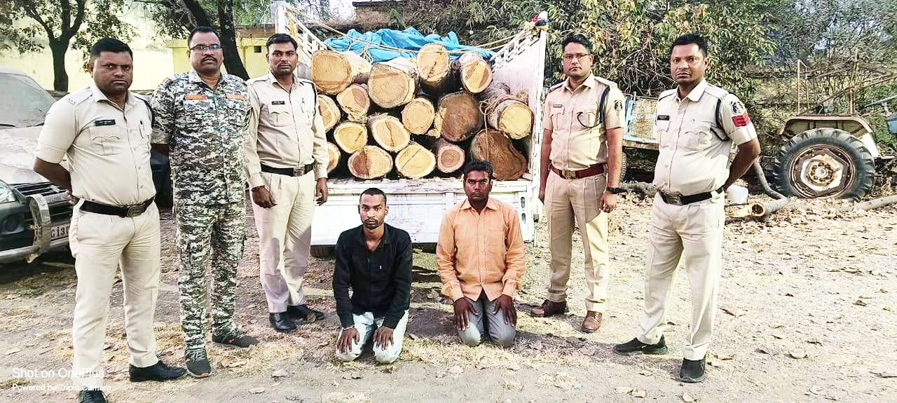 पिकअप से 16 सागौन गोला जब्त, वन विभाग को सौंपा