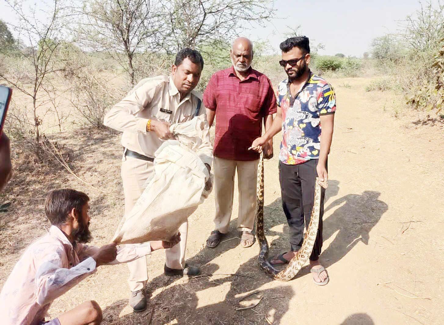 कांकेतरा में मिले दो अजगर