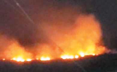 खरसिया के बरगढ़ जंगल में लगी आग, वन विभाग नहीं ले रहा सुध 