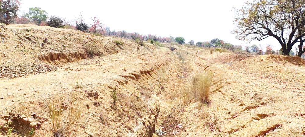 अन्नदाताओं की हितैषी है प्रदेश की भूपेश सरकार - कमरो