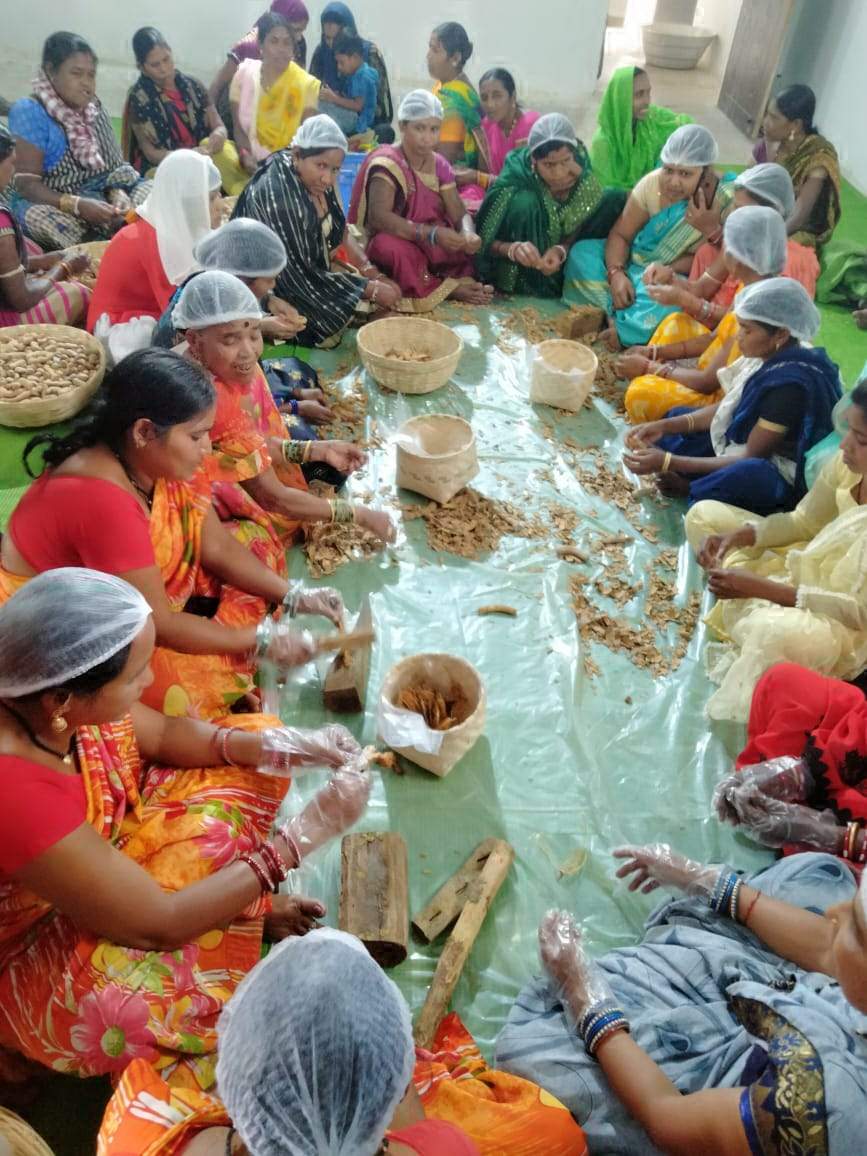उच्च गुणवत्ता के इमली संग्रहण के लिए स्व-सहायता समूहों को प्रशिक्षण उच्च गुणवत्ता के इमली संग्रहण के लिए स्व-सहायता समूहों को प्रशिक्षण