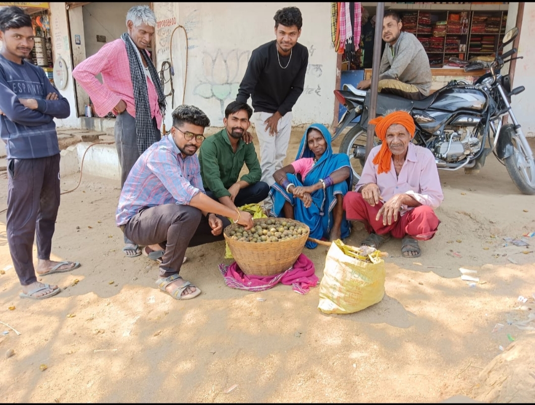 जंगली फल तेंदू की बाजार में बढ़ी मांग