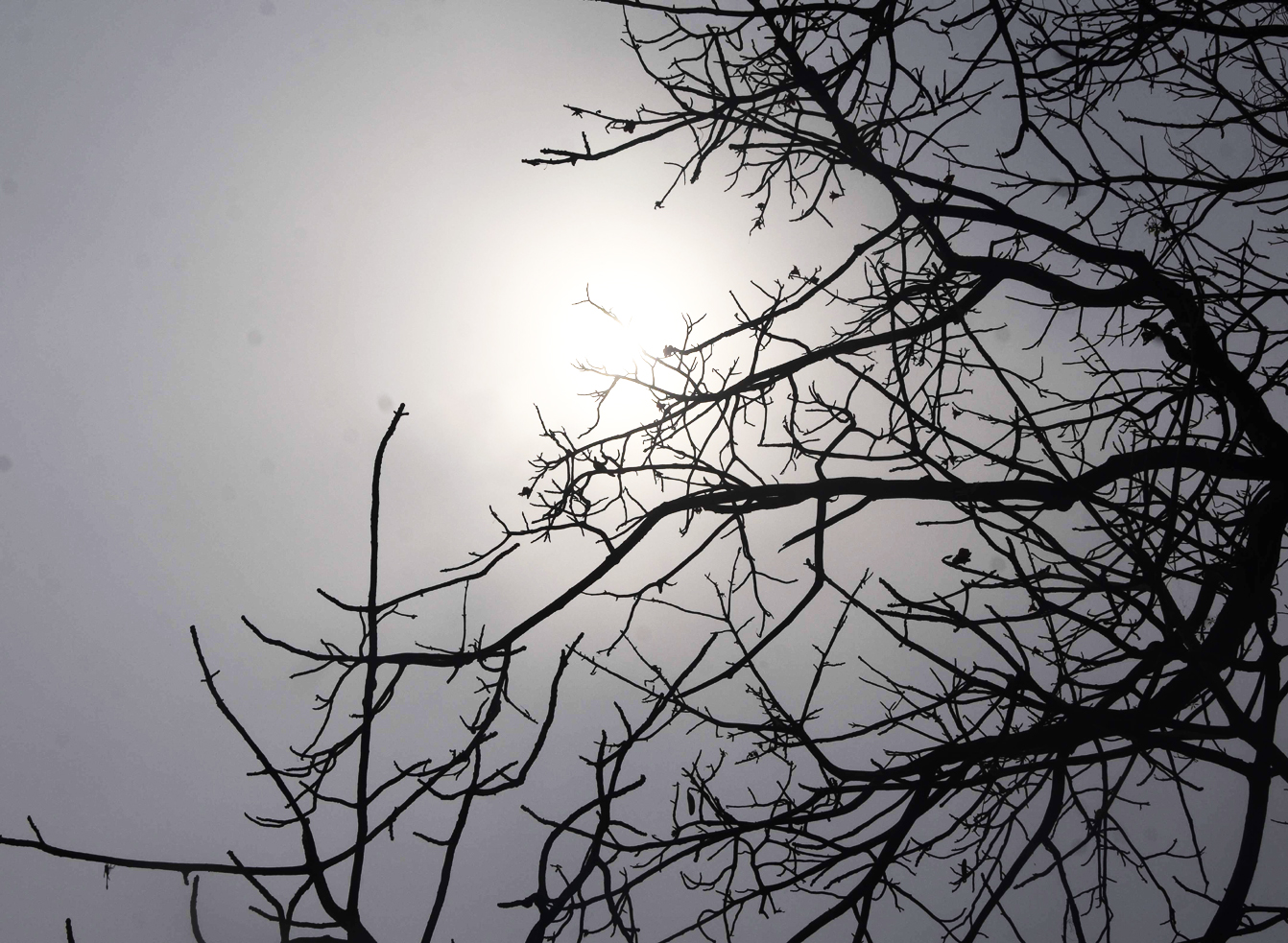 सूरज की तपिश में गिरावट, प्रदेश  में यलो और आरेंज अलर्ट भी