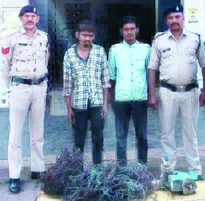 पंप और केबल वायर चोरी के आरोपी पकड़ाए पंप और केबल वायर चोरी के आरोपी पकड़ाए