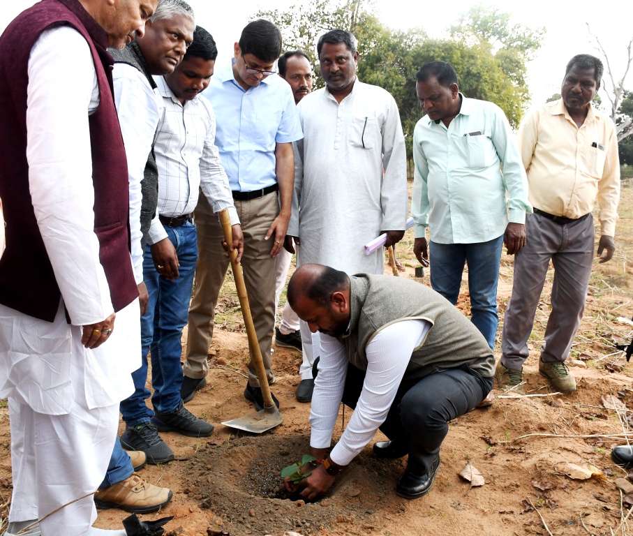 मुख्यमंत्री वन सम्पदा योजना का वर्चुअल शुभारंभ कलेक्टर, डीएफओ व जनप्रतिनिधियों ने रोपे पौधे