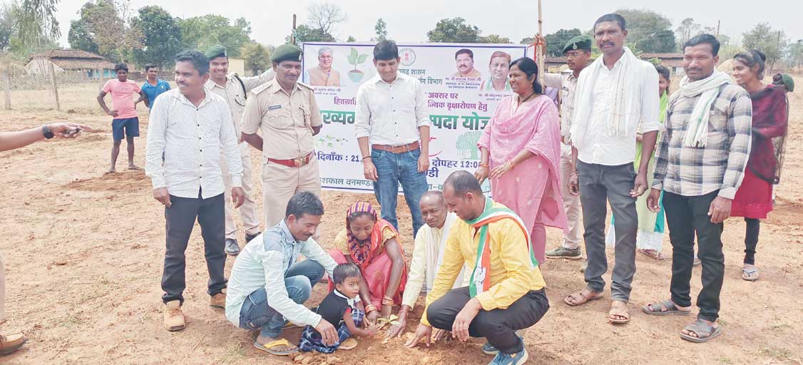 अरंडी में मुख्यमंत्री वृक्ष संपदा योजना के तहत लगाए सैकड़ों पौधे अरंडी में मुख्यमंत्री वृक्ष संपदा योजना के तहत लगाए सैकड़ों पौधे