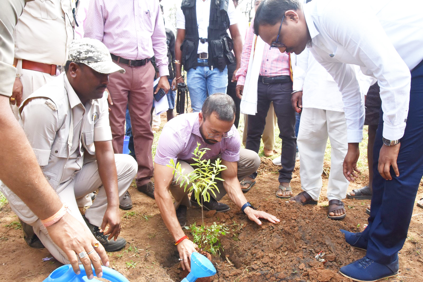 बड़े गुडरा में वृक्ष संपदा से 14 सौ एकड़ में पौधरोपण