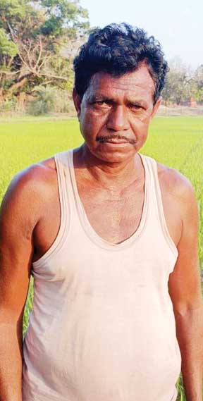 प्रति एकड़ 20 क्विंटल धान की होगी खरीदी प्रति एकड़ 20 क्विंटल धान की होगी खरीदी
