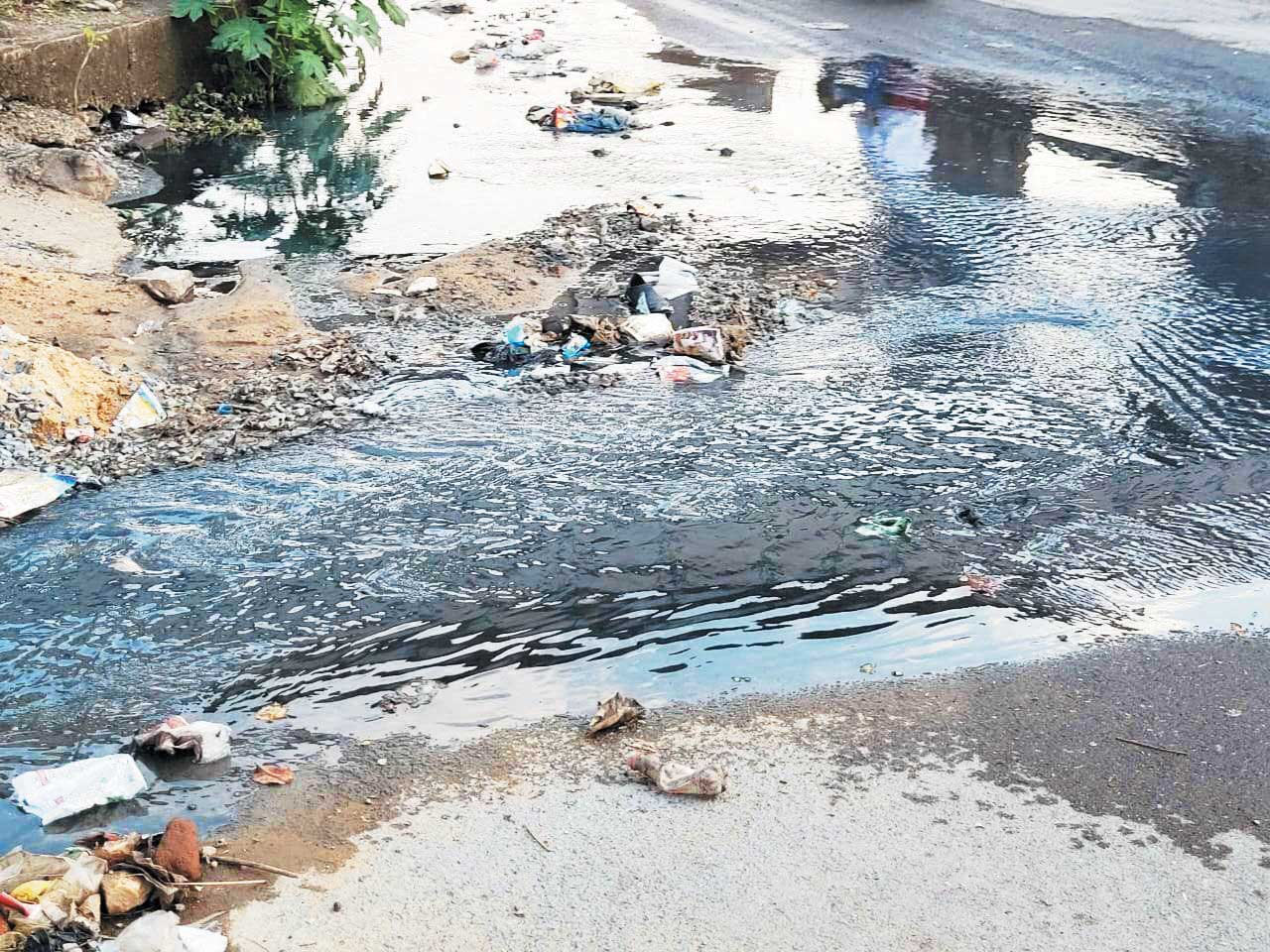  सुघ्घर रईगढ़ के स्लोगन का मुंह चिढ़ा रहा चक्रपथ का गंदा नाला