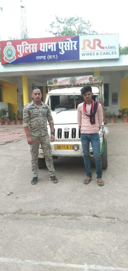 पिकअप में मवेशी तस्करी कर रहा आरोपी गिरफ्तार