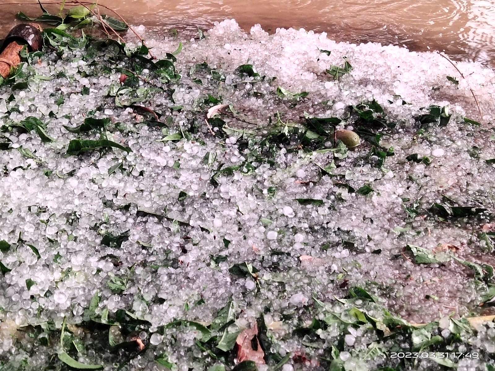  तेज हवा के साथ जमकर बारिश, ओले गिरे 