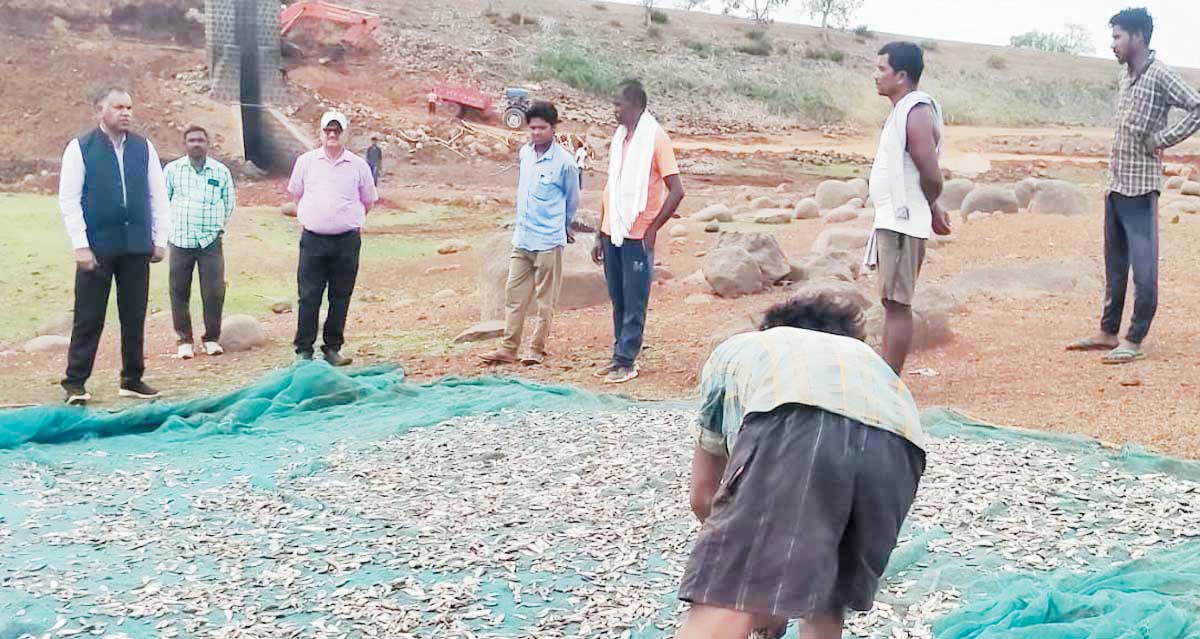 मत्स्य के अच्छे उत्पादन और आय में वृद्धि के कलेक्टर ने दिए सुझाव