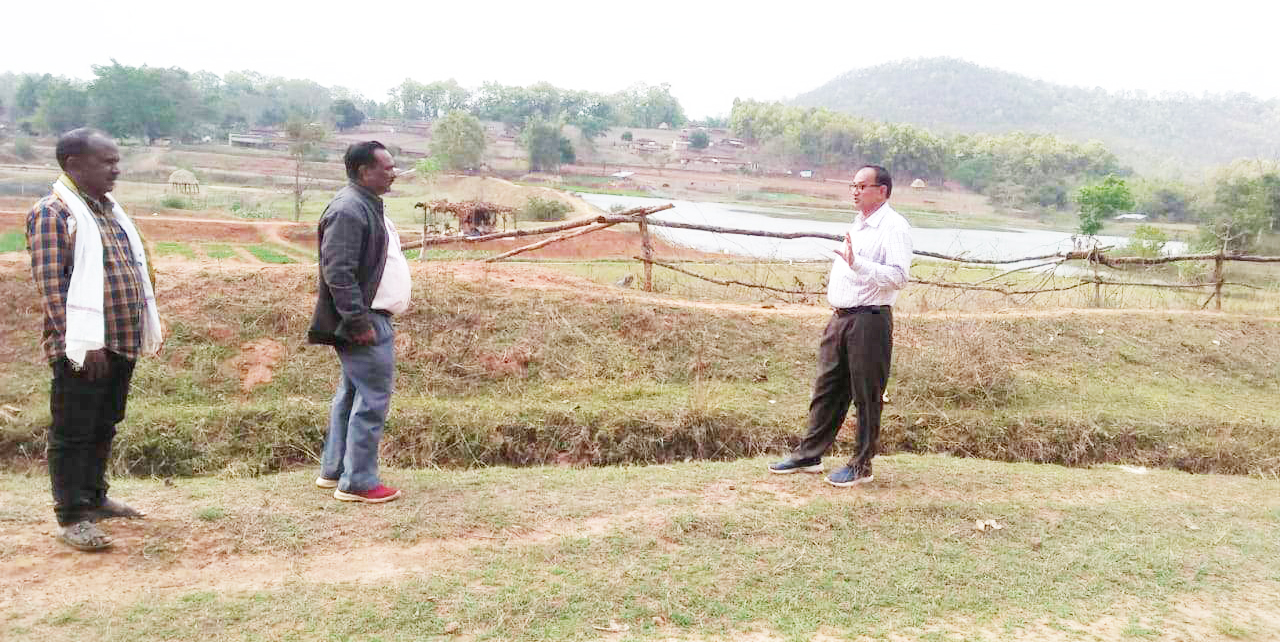 66 एकड़ में चाय की खेती, 36 किसानों को नाशपाती व अन्य फसलों के लिए बीज दिया