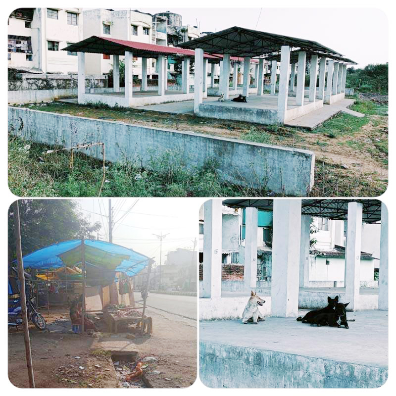 सरकार की पौनी पसारी योजना अधर में  आबाद नहीं हो सका बाईरदादर रोड़ का सब्जी पसरा