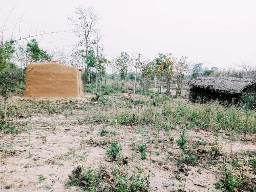 लीज में दिए गए वनभूमि पर हो रहा था अतिक्रमण