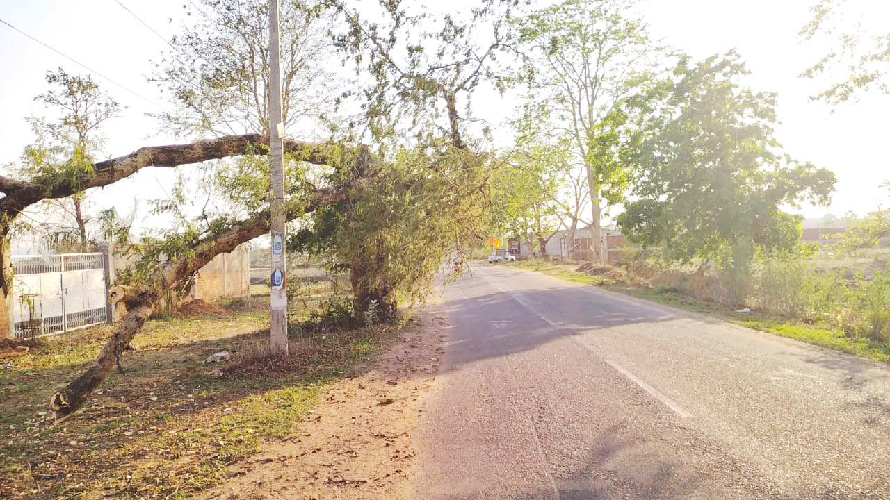 पीडब्ल्यूडी की लापरवाही, हो सकती है बड़ी दुर्घटना