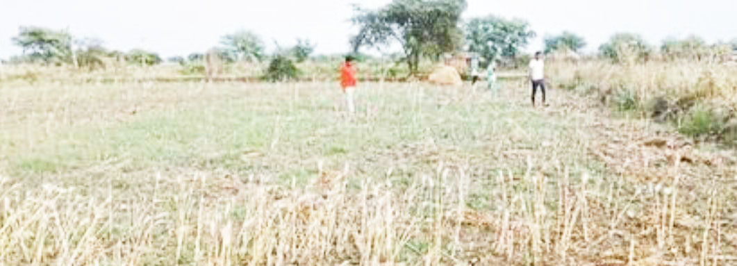 बेमौसम बारिश से 16 हजार किसानों को नुकसान