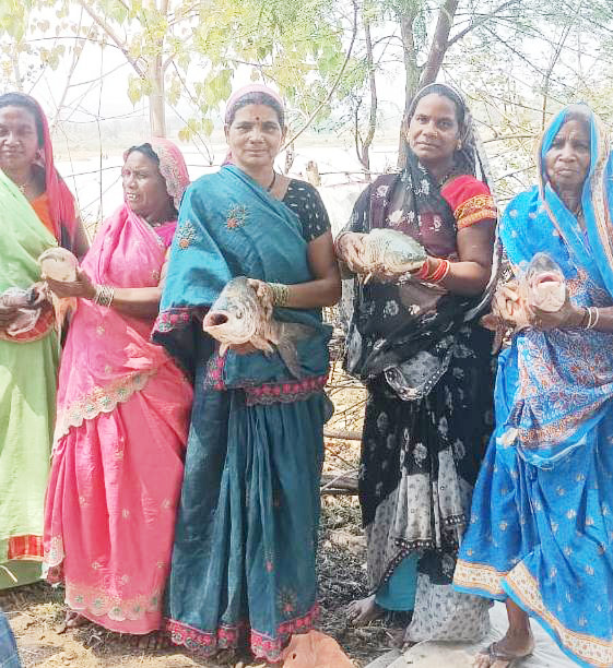 भावना समूह की महिलाओं को मत्स्य पालन से मिला आर्थिक लाभ