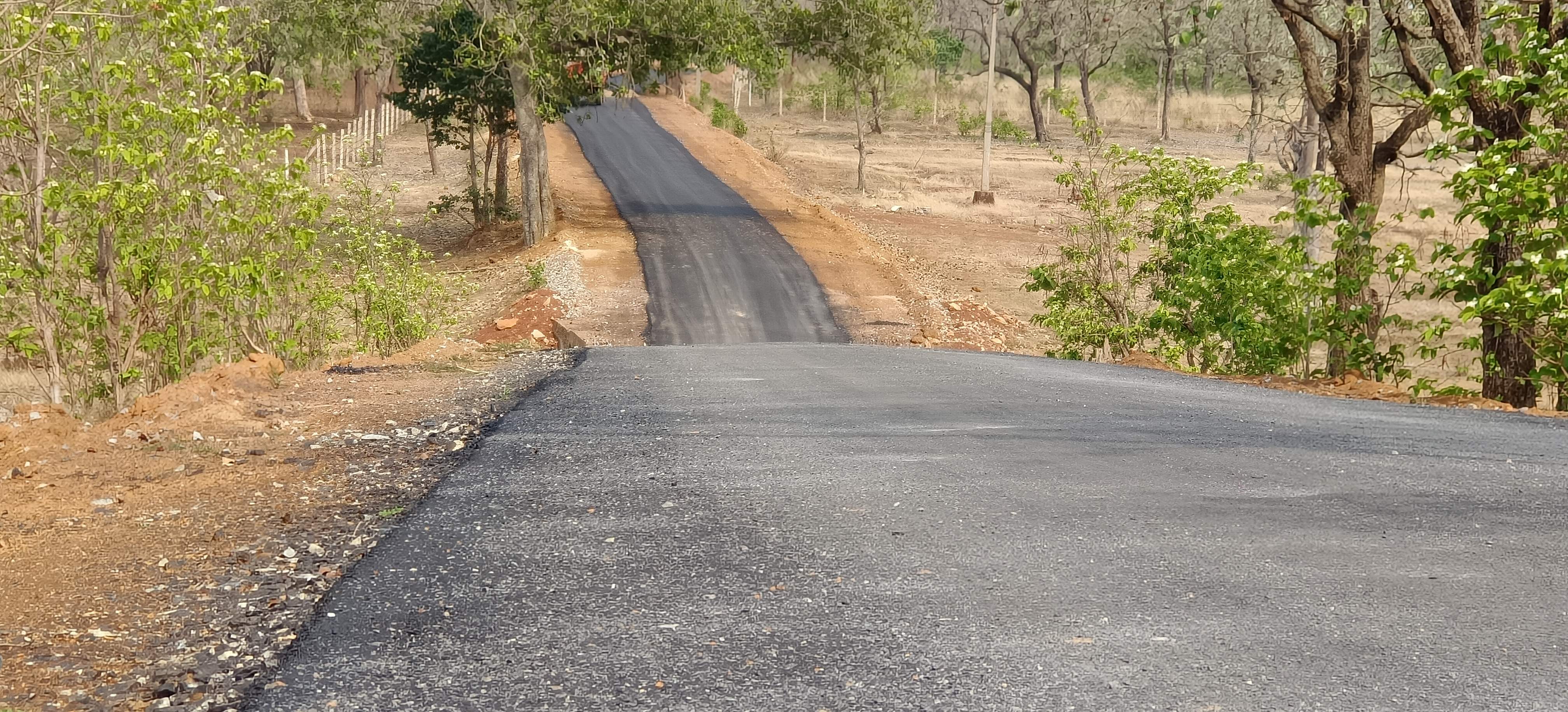 कुँएमारी में पहुँचा विकास, गांव-गांव बिछा सडक़ों का जाल कुँएमारी में पहुँचा विकास, गांव-गांव बिछा सडक़ों का जाल