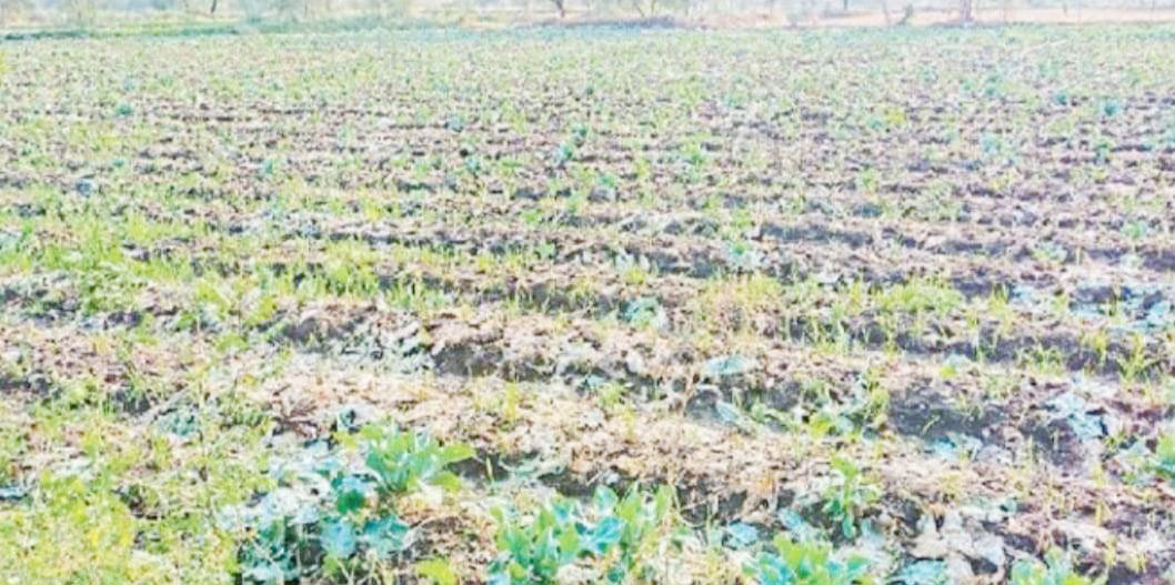 मुआवजा नहीं मिला तो करेंगे आंदोलन