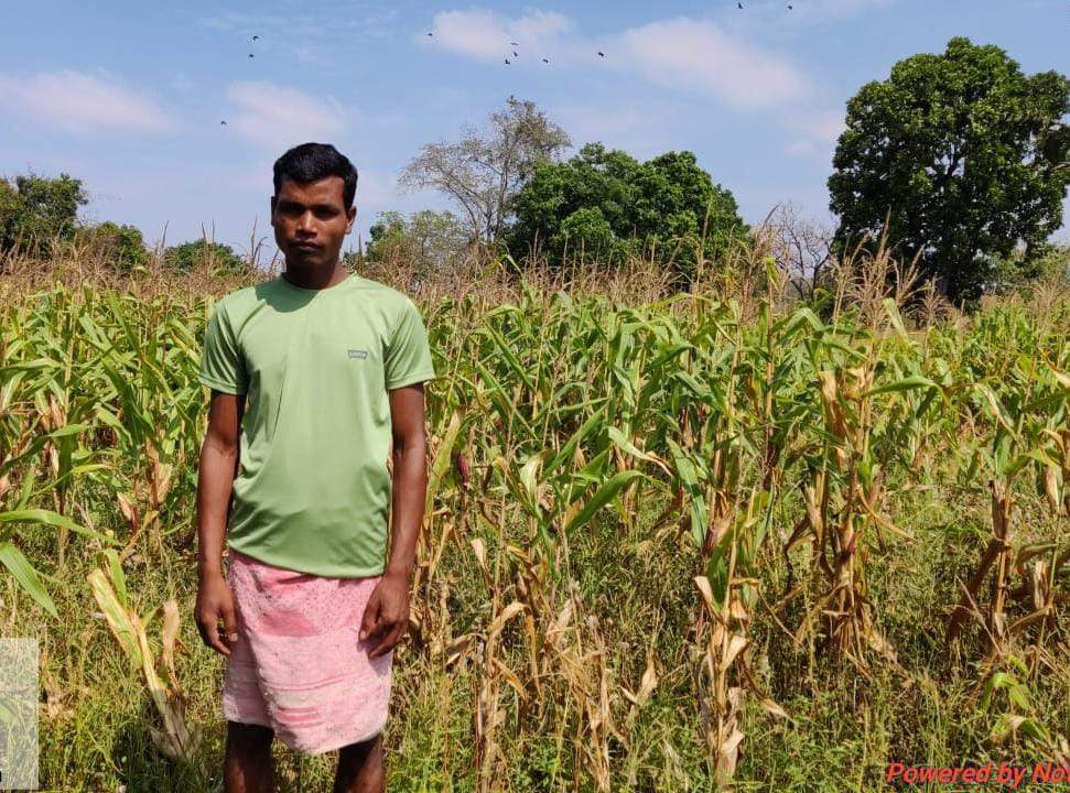 नरवा विकास कार्यों से मिला चमाई नाला को मिला नया जीवन नरवा विकास कार्यों से मिला चमाई नाला को मिला नया जीवन
