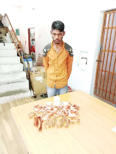 पांच माह पहले कबाड़ी की दूकान में की गई थी चोरी, गिरफ्तार