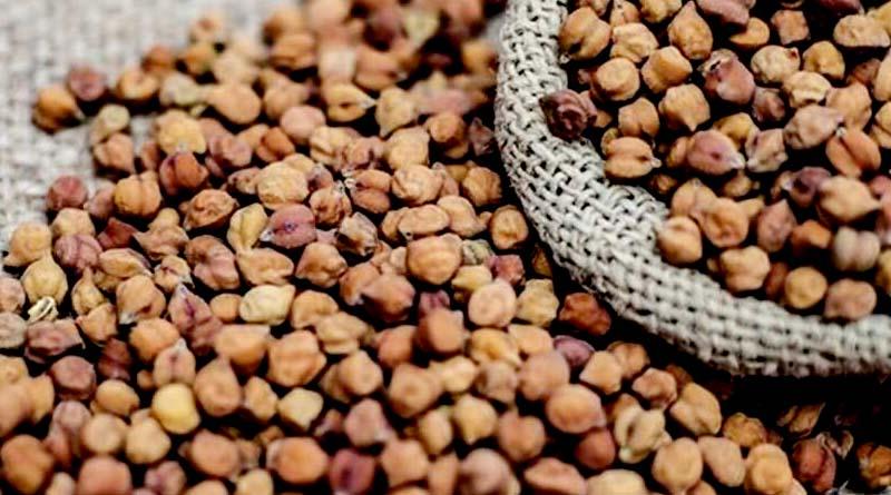 1.46 करोड़ की धोखाधड़ी, गुजरात के बिचौलियों ने चना सप्लाई नहीं किया