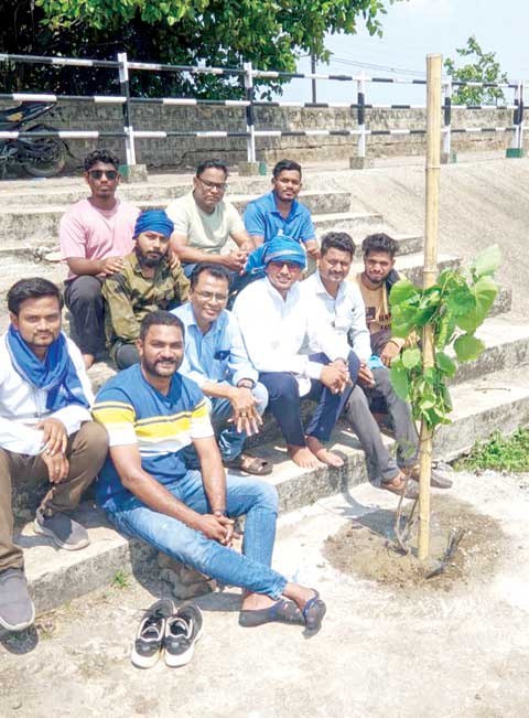 बौद्ध समाज गुढिय़ारी रायपुर के नेतृत्व में बोधि वृक्ष का पेड़ लगाया