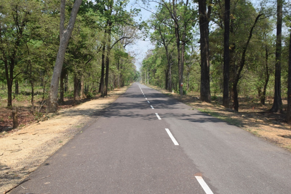 गर्मी बढ़ते ही सडक़ों में सन्नाटा