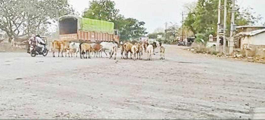 बायपास रोड का निर्माण अंतिम चरण पर, किसानों को नहीं मिला मुआवजा 