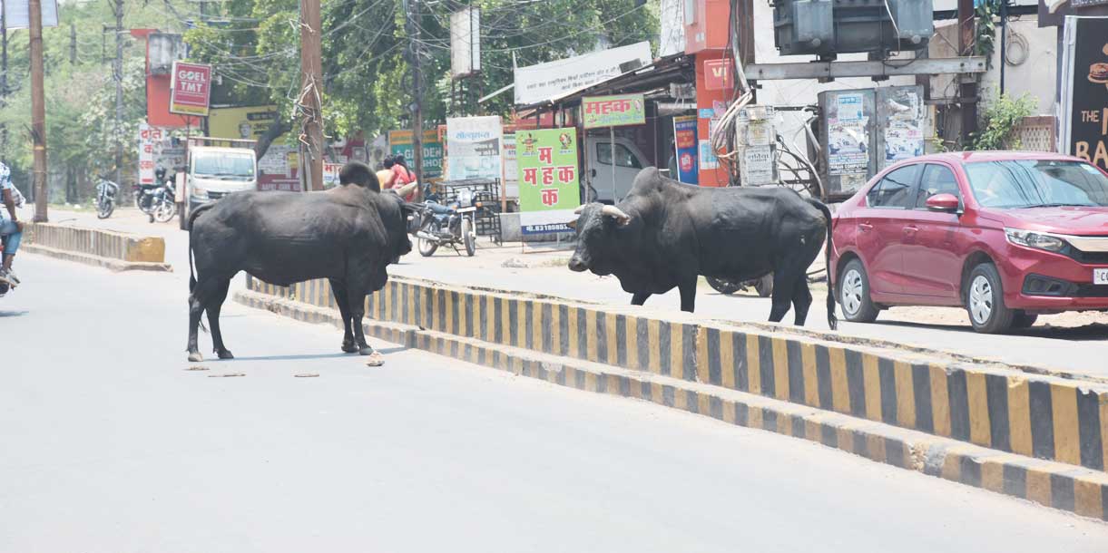 आइने में अक्स की तरह