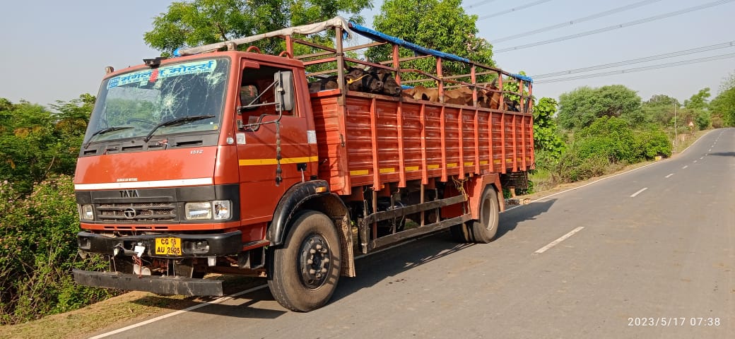 मवेशियों से भरी वाहन को पुलिस ने किया जब्त मवेशियों से भरी वाहन को पुलिस ने किया जब्त