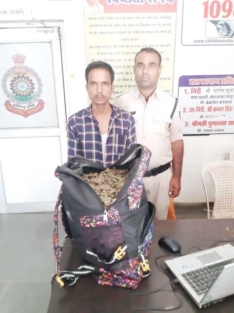 साढ़े 6 किलो गांजे के साथ एमपी का तस्कर गिरफ्तार