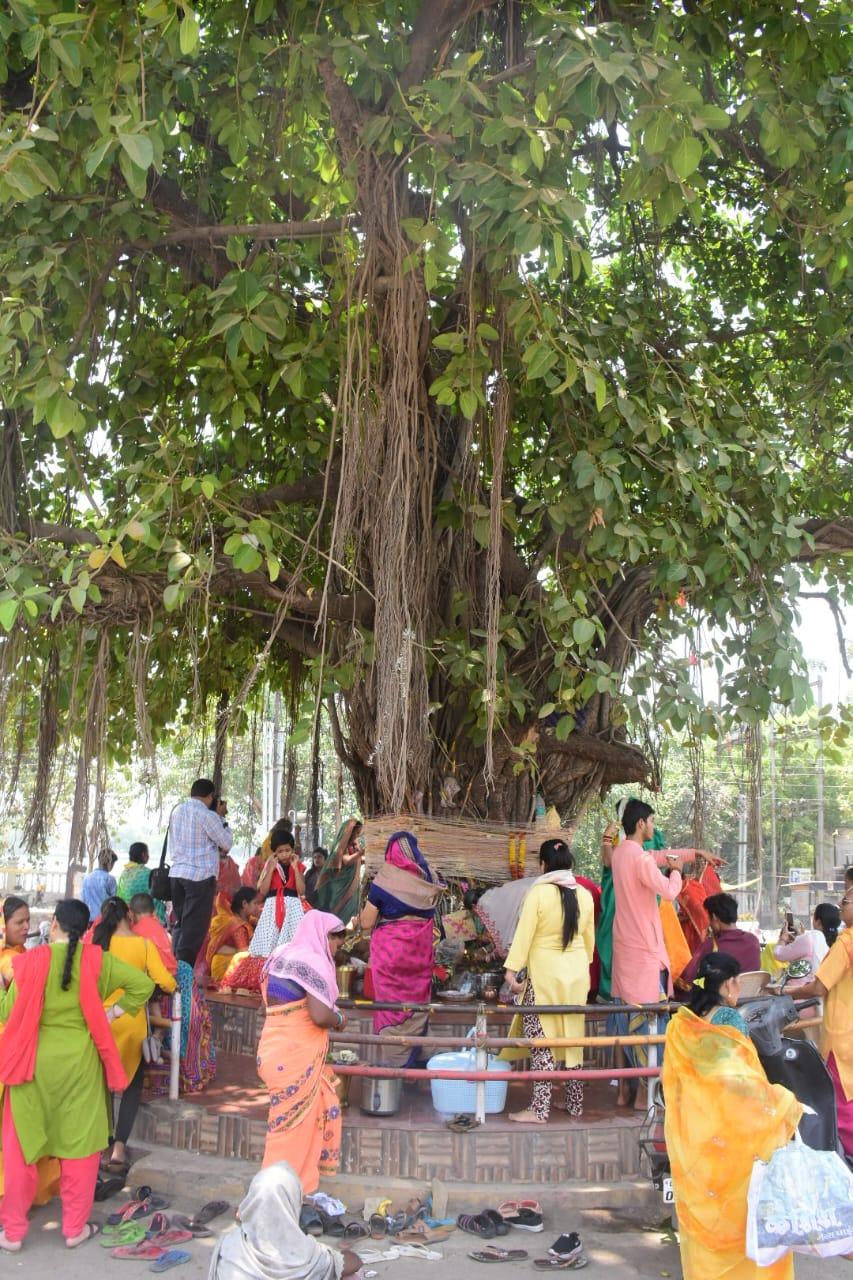 आज वट सावित्री और शनि जयंती भी
