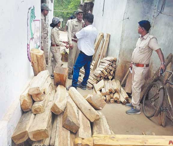 वन विभाग अमले ने ओडिशा में दबिश देकर 8 लाख के सागौन चिरान, पल्ला, फर्नीचर किया जब्त वन विभाग अमले ने ओडिशा में दबिश देकर 8 लाख के सागौन चिरान, पल्ला, फर्नीचर किया जब्त