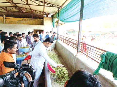 युकां का गौ सेवा पखवाड़ा शुरू, 7 जून तक चलेगा
