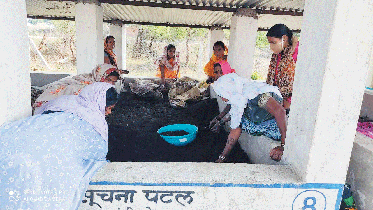 स्व सहायता समूह ने बेचे अब तक 7 लाख 81 हजार से अधिक के वर्मी कंपोस्ट स्व सहायता समूह ने बेचे अब तक 7 लाख 81 हजार से अधिक के वर्मी कंपोस्ट